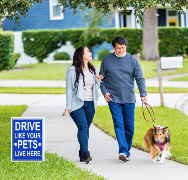 A picture of a couple with a shaggy brown dog